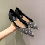 New Low Heel Classic Fashion All-match Pointed 3cm Chunky Heel Shallow Rhinestone Pearl Mesh Single-layer Shoes for Women
