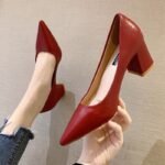 Sexy Pointed Leather Shoes Thick Heel Professional Work Shoes Internet Celebrity Versatile Shallow Mouth Shoes - Image 3