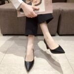 Sexy Pointed Leather Shoes Thick Heel Professional Work Shoes Internet Celebrity Versatile Shallow Mouth Shoes - Image 6