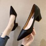 Sexy Pointed Leather Shoes Thick Heel Professional Work Shoes Internet Celebrity Versatile Shallow Mouth Shoes