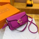 Cross-Border Fashion Classic Lychee Pattern Underarm Dionysus Bag, Stylish Versatile Crossbody Bag, Trendy Color-Blocking Design Shoulder Bag - Image 7